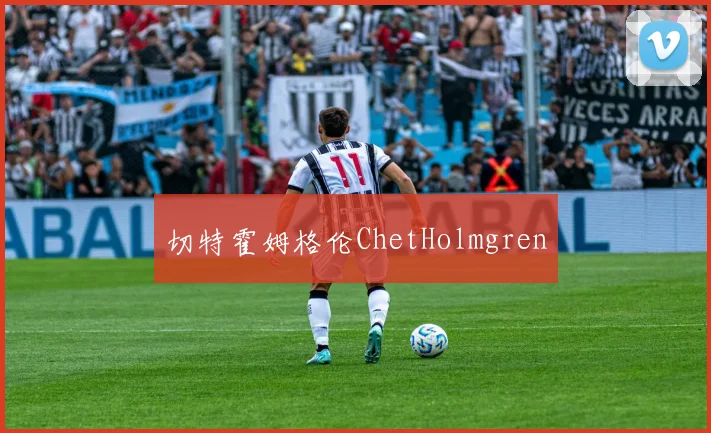 切特霍姆格伦ChetHolmgren