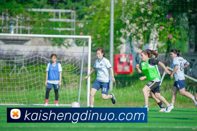 xc体育平台生态图